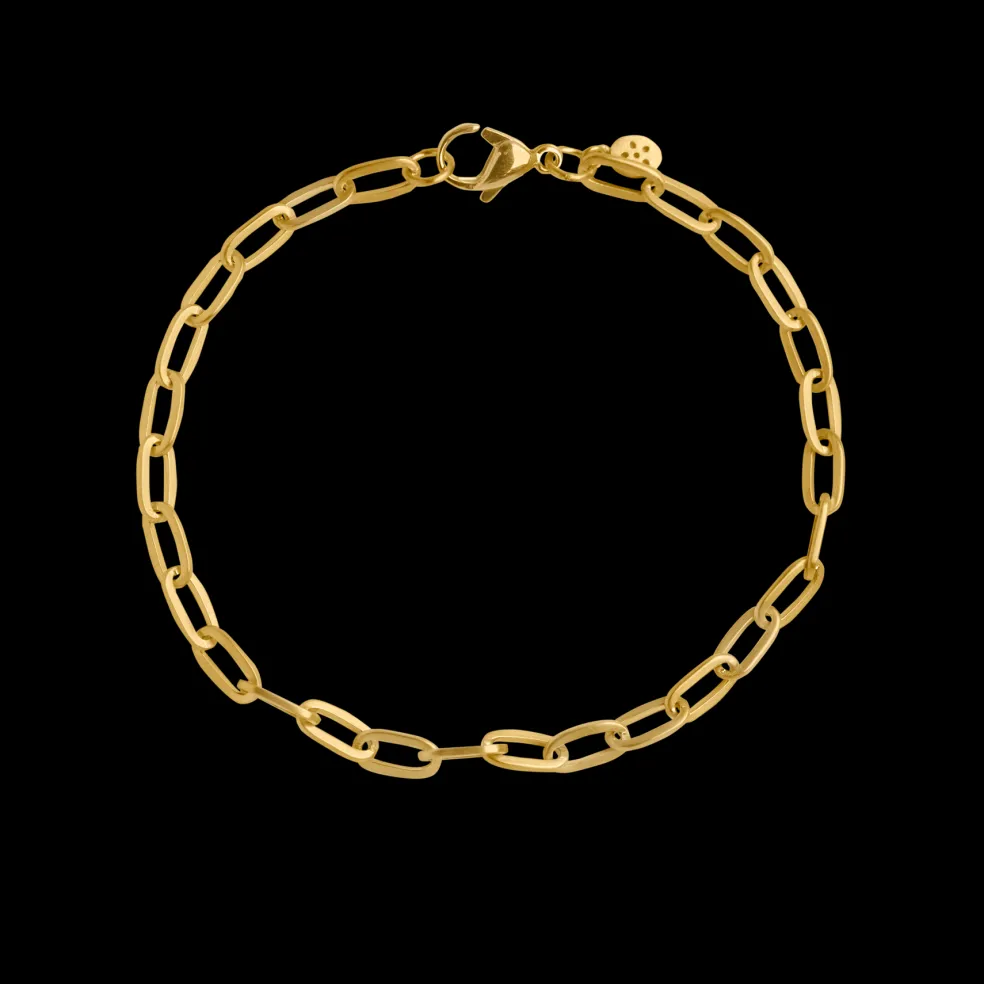 byBiehl - Charms armbånd i forgyldt stål - 2-1511-gp