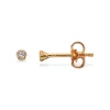 Scrouples - Forgyldte sølv øreringe 2mm - 112012fg