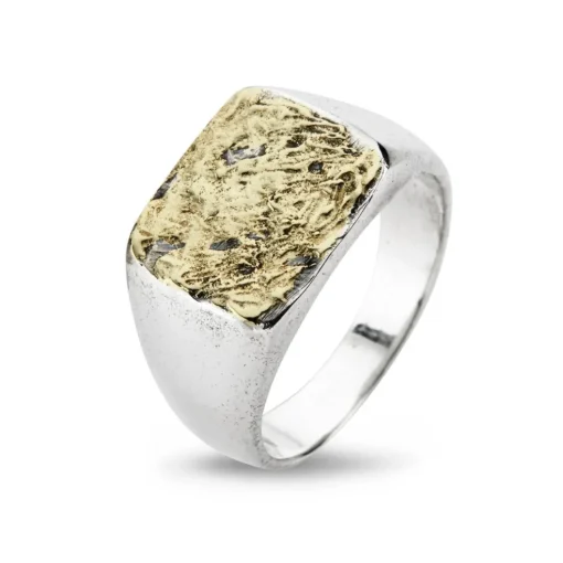 Sølv ring med guld fra byBirdie-50110190g